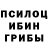 Псилоцибиновые грибы Magic Shrooms Aliona Radziuviene