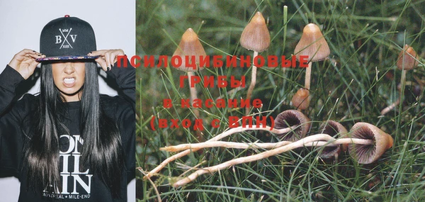 MESCALINE Краснослободск